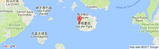 Amapala Airport图片