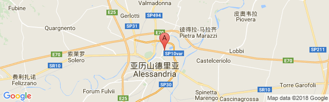 Alessandria Airport图片