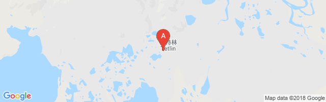 Tetlin Airport图片