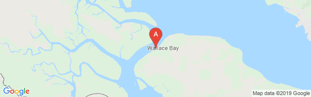 Wallace Bay Airport图片