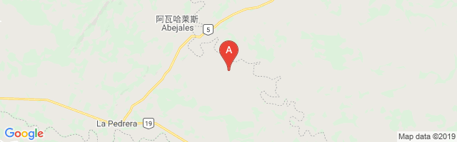 La Fortuna Airport图片