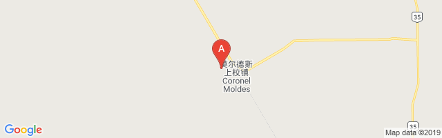Coronel Moldes Airport图片