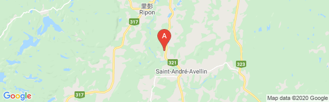 St. Andre-Avellin Airport图片