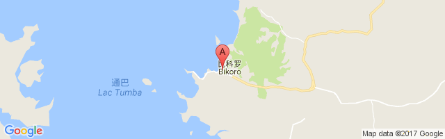 Bikoro Airport图片