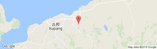 古邦机场 El Tari Airport图片
