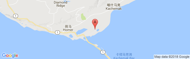 Homer Airport图片