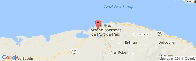 Port-de-Paix Airport图片