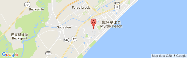 默特尔比奇机场 Myrtle Beach International Airport图片