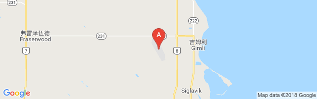 Gimli Industrial Park Airport图片