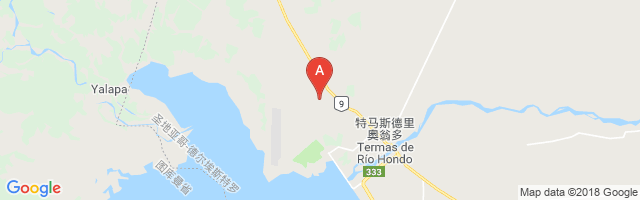 Las Termas Airport图片