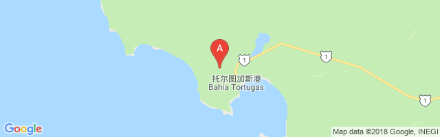 Bahía Tortugas Airfield Airport图片
