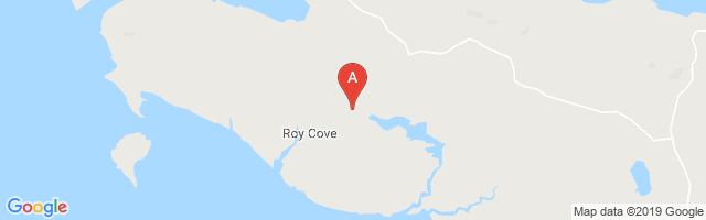 Roy Cove Landing Strip Airport图片