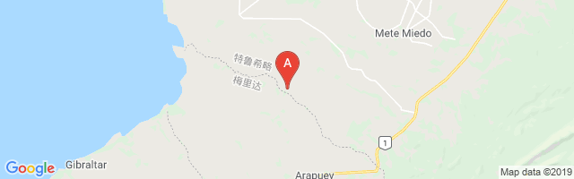 Las Clavellinas Airport图片