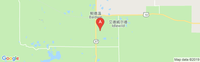 Baldwin Municipal Airport图片