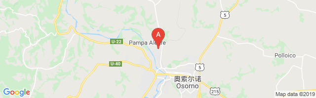 Osorno Pampa Ale Airport图片