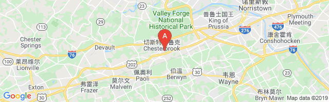 Peco Berwyn Airport图片