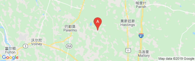 Spring Brook Airport图片