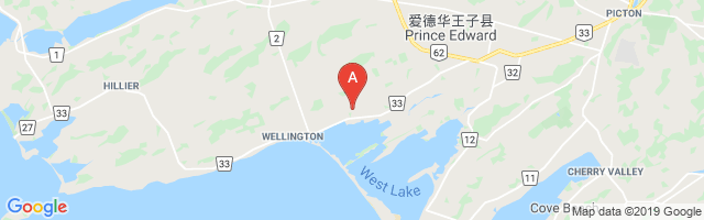 Wellington Airstrip Airport图片