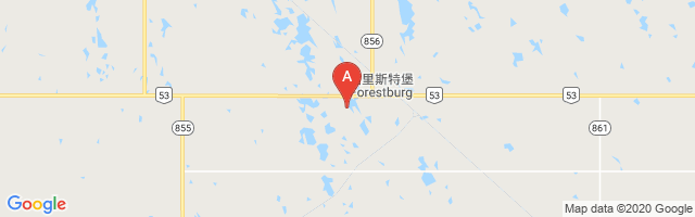 Forestburg Airport图片