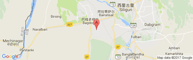 巴格多格拉机场 Bagdogra Airport图片
