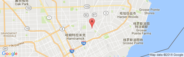 底特律科尔曼·A·杨国际机场 Coleman A. Young Municipal Airport图片