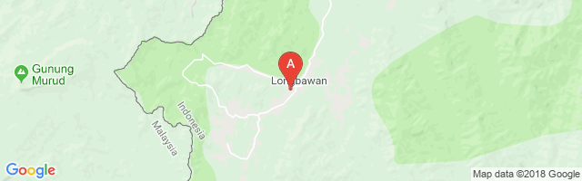 Long Bawan Airport图片