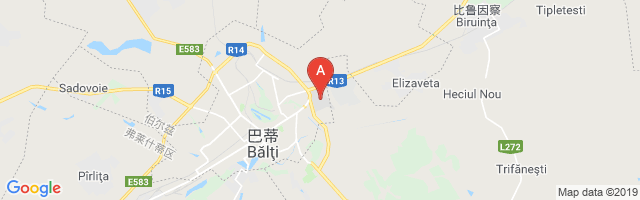 Bălţi City Airport图片