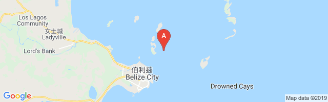 Municipal Airport图片