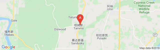 Village of Tamms Airport图片