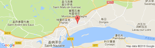 Saint-Nazaire-Montoir Airport图片