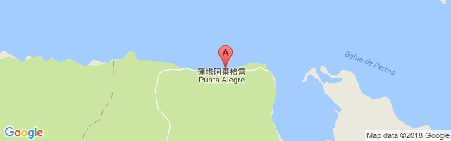 Punta Alegre Airport图片
