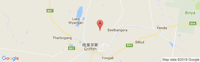 Griffith Airport图片