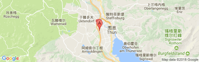 Thun Airport图片
