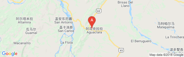 Aguaclara Airport图片