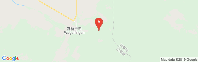 Wageningen Airstrip Airport图片
