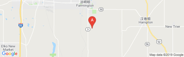 Nielsen's Airport图片