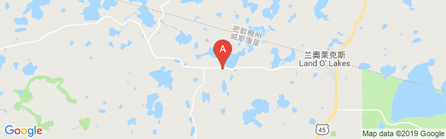Simons Airfield Airport图片