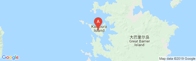 Motu Kaikoura Island Aerodrome Airport图片