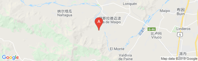Viña Tarapacá Airport图片