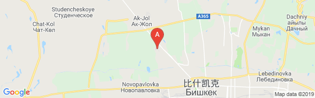 Frunze Northwest Airport图片