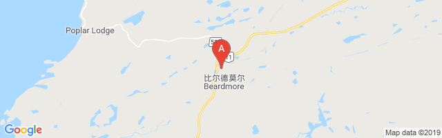 Beardmore (Health Centre) Airport图片