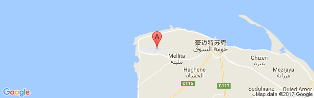 杰尔巴-杰尔吉斯国际机场 Djerba Zarzis International Airport图片
