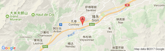 Sion Airport图片