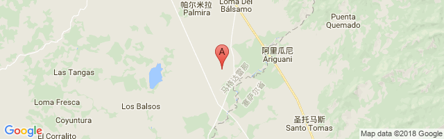 Algarrobo Airport图片