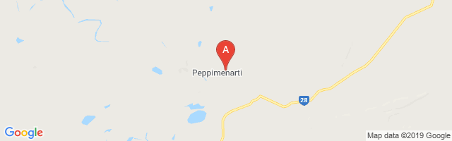 Peppimenarti Airport图片