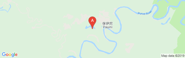 Pauini Airport图片