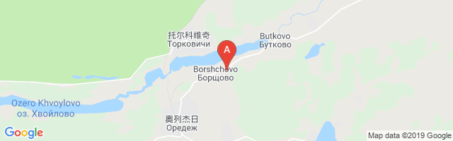 Borshchovo Airstrip Airport图片