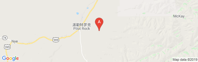 Rugg Ranches Airport图片