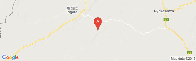 Ngara Airport图片