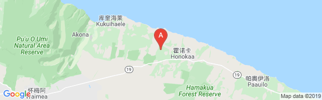 Honokaa Airstrip Airport图片